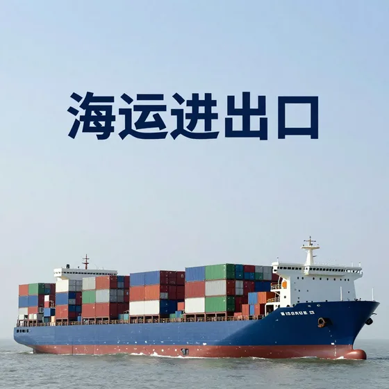 app开发